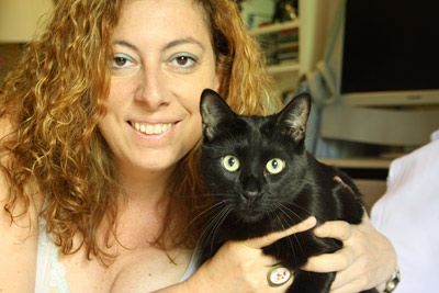 Contactame para el Canguro de Gatos